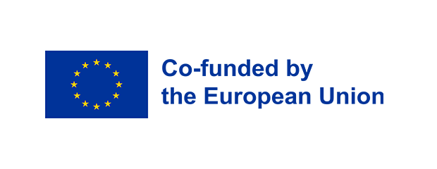 EU website background