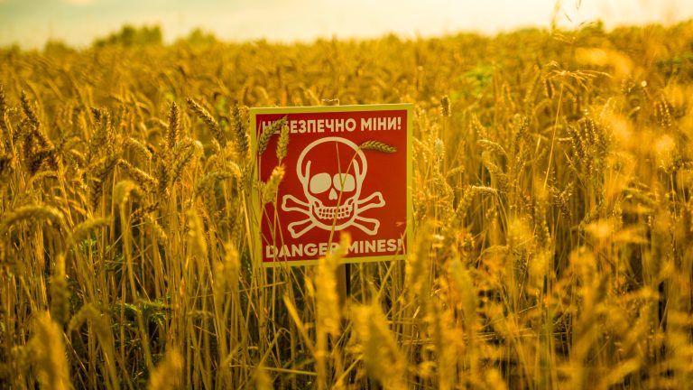 Dangerous,Mines,Sign,In,Ukrainian,And,English,In,A,Wheat
